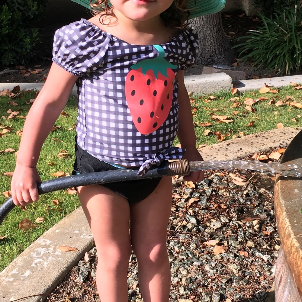 Toddler two piece swimsuit with strawberry